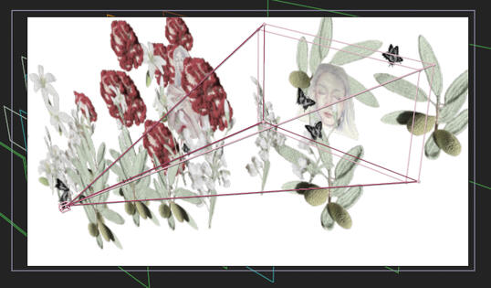 3D Camera Viewport 2